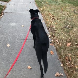 Meet your Posher, Andie